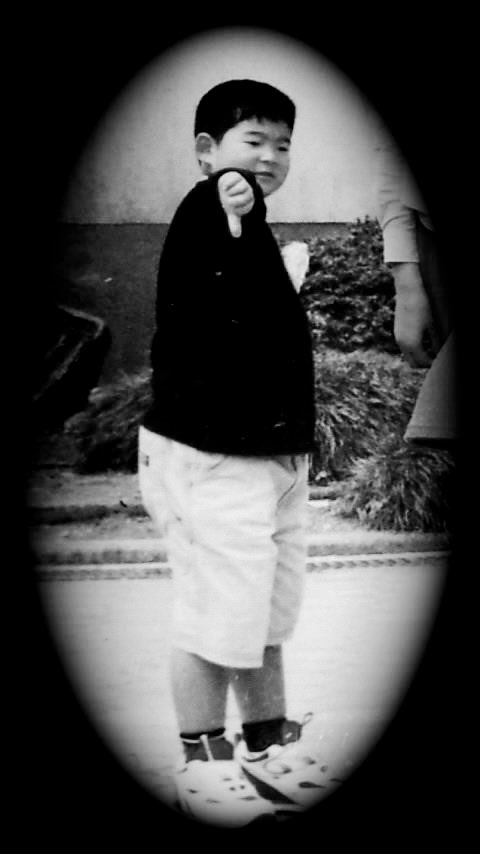 Dalmatian ISM tweet media