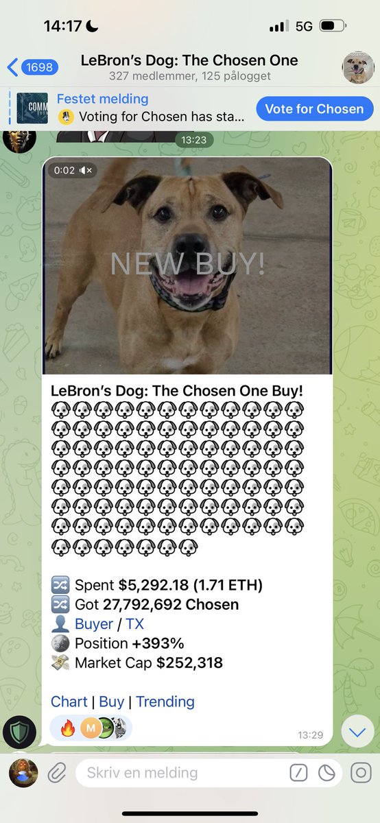 Still fading the $Chosen one? 

Le Brons Frigging dog? 

Told you that was a BAD idea. 

Millions and probably fast! 🙌🚀