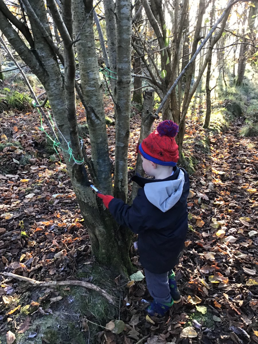 StAndrewsNCML6's tweet photo. What a lovely fresh crisp morning in the forest today. Swinging on our swing, painting the frozen leaves and the trees and looking at all the frost in the forest. We then enjoyed some hot chocolate and digestive before going back to nursery. ☕️ https://t.co/0OUU0AxR83