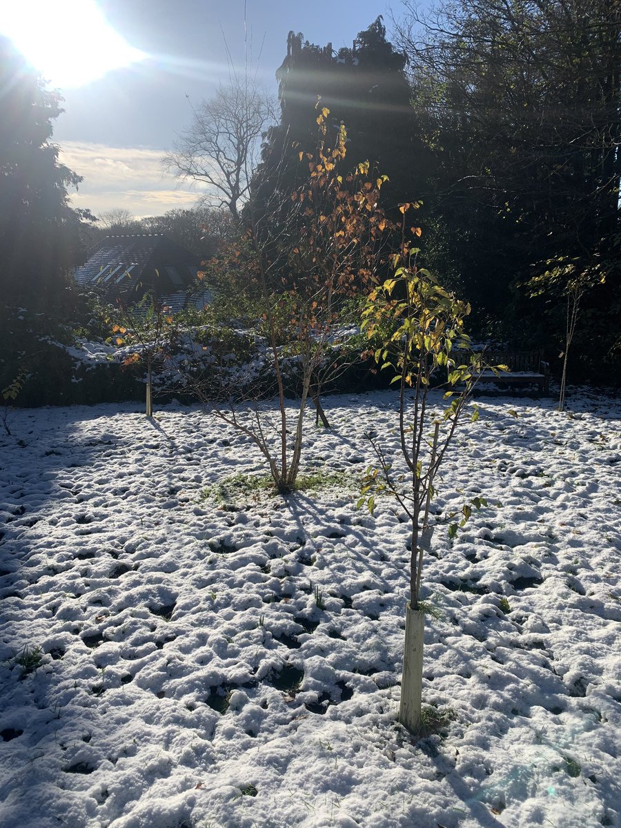 John Travers tweet media