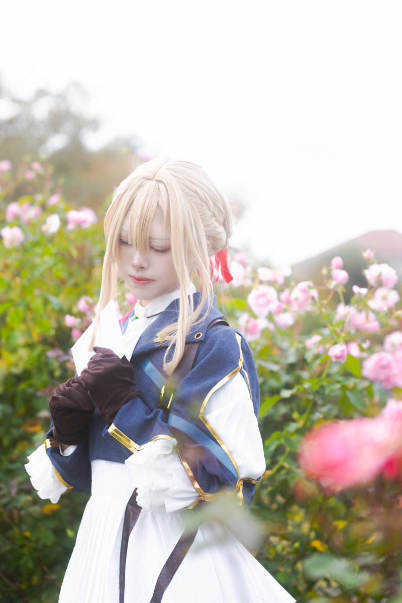 Violet Evergaden

｢愛してる｣を知りたいのです

 #京成バラ園