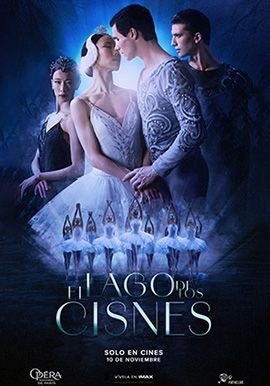 Fernanda Arena tweet media