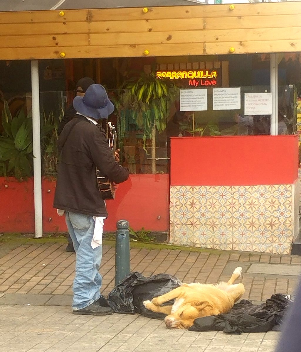 PlataformaALTO's tweet image. ¡AYUDA! @animalesbog 
Este sujeto mantiene dopado a este perrito para pedir dinero. Lo mantiene durante horas en esa posición.

Esta foto fue tomada ayer, cerca al CC Atlantis en Bogotá. 

Se necesita difusión y ayuda para encontrarlo. Ayer desapareció cuando ciudadanos fueron a…