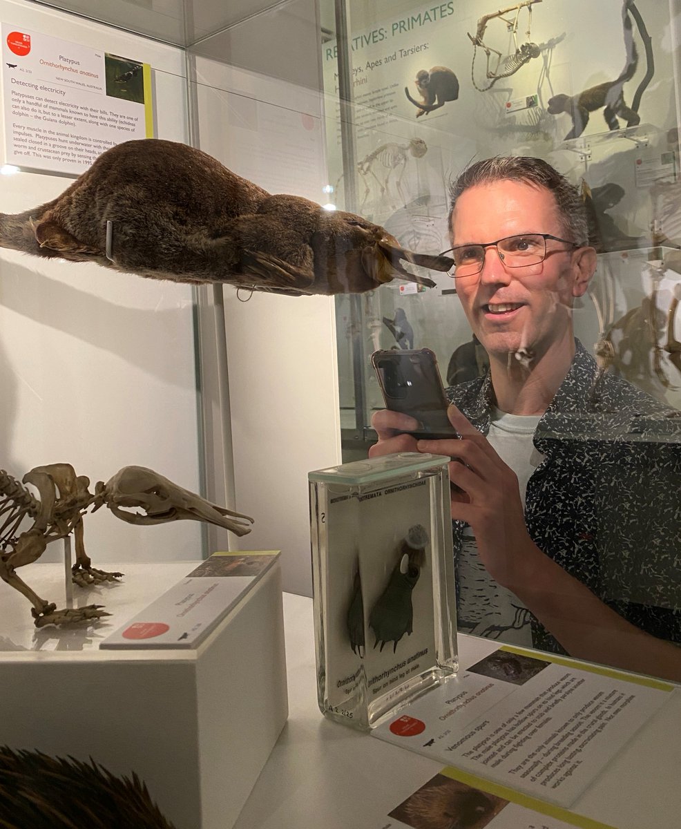 📢EXTENDED UNTIL 22 DECEMBER! You can chat with 13 of our specimens at the Museum in our artificial intelligence experiment. 🐳 What would you ask a whale, a dodo, a butterfly or a platypus? And what will their answers be? 😉 <a href="/CamUnivMuseums/">University of Cambridge Museums</a> ow.ly/NCFs50UaQZt