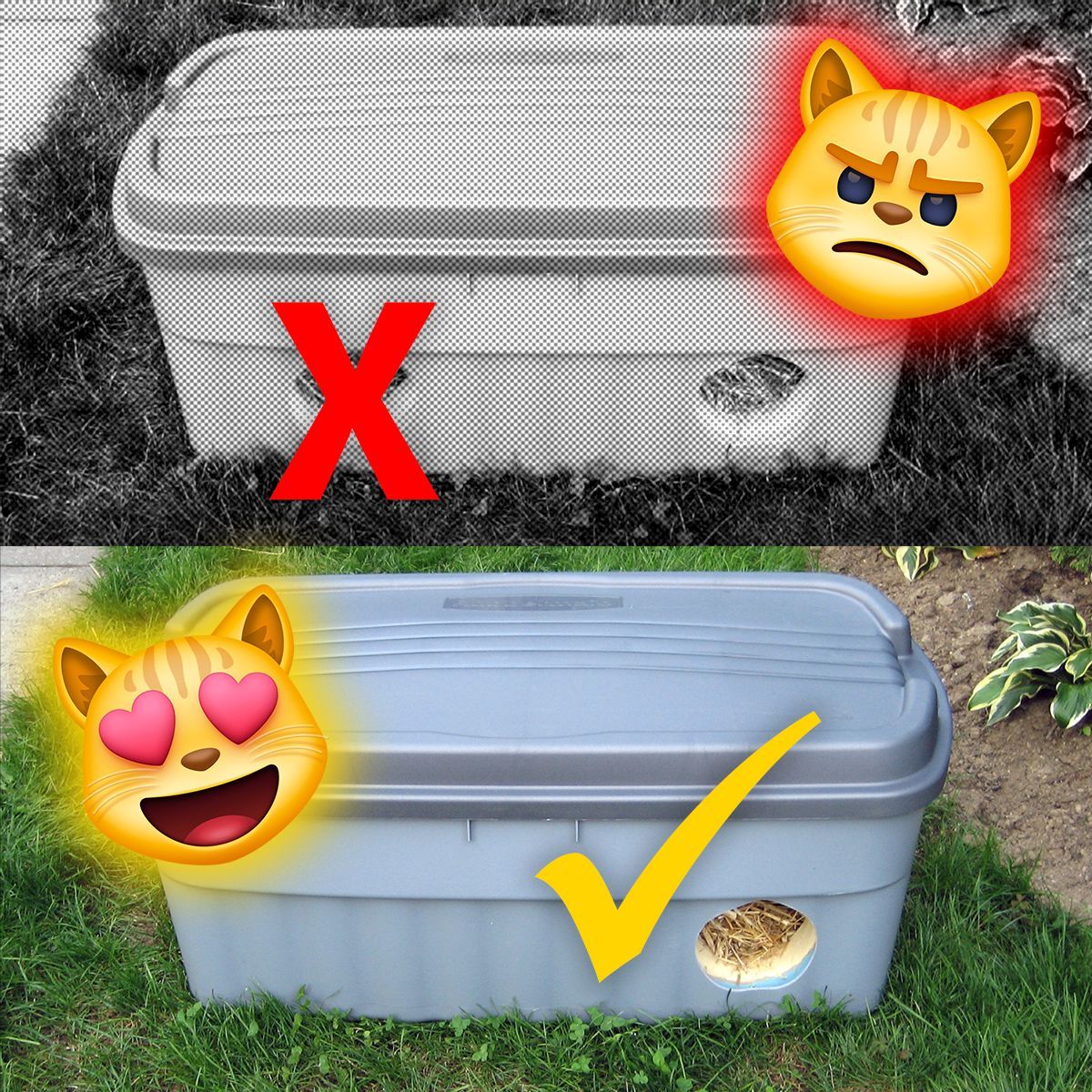 It's #WinterShelterWednesday! 🌬️❄️🏠🌡️🐈 In most cases, cat shelters should have ONLY 1 DOOR! 2nd door creates drafts &amp; lets in more cold air &amp; moisture. Predators can't enter 5"x5" door &amp; #communitycats #feralcats are far safer inside than running outside. @bideawee #nycfci #tnr