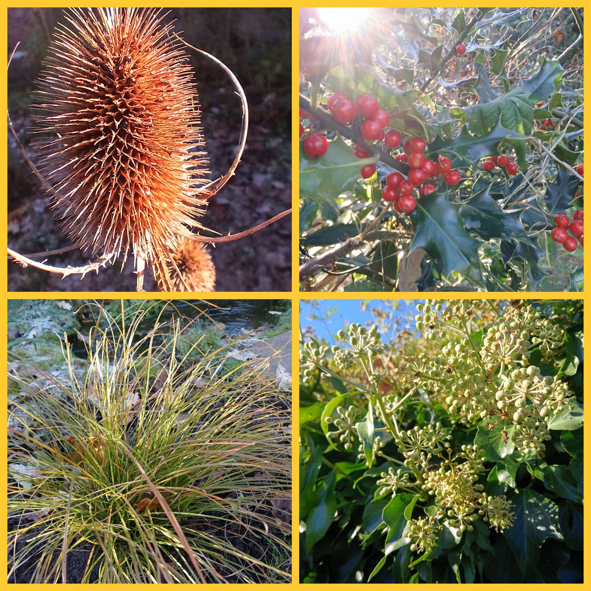 🗿📡🌱🫛🚴♂️David🏴 tweet media