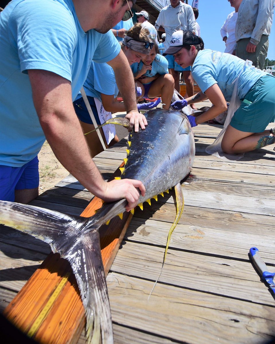 Fisheries are the foundation of many nat'l &amp; local economies, providing livelihoods &amp; food security to &gt;3 bn people. We are sharing our 3rd #ArcGIS #StoryMap, highlighting work with fisheries &amp; the people that rely upon them #LatinAmerica #Caribbean

arcg.is/19X1fz1 

1/4
