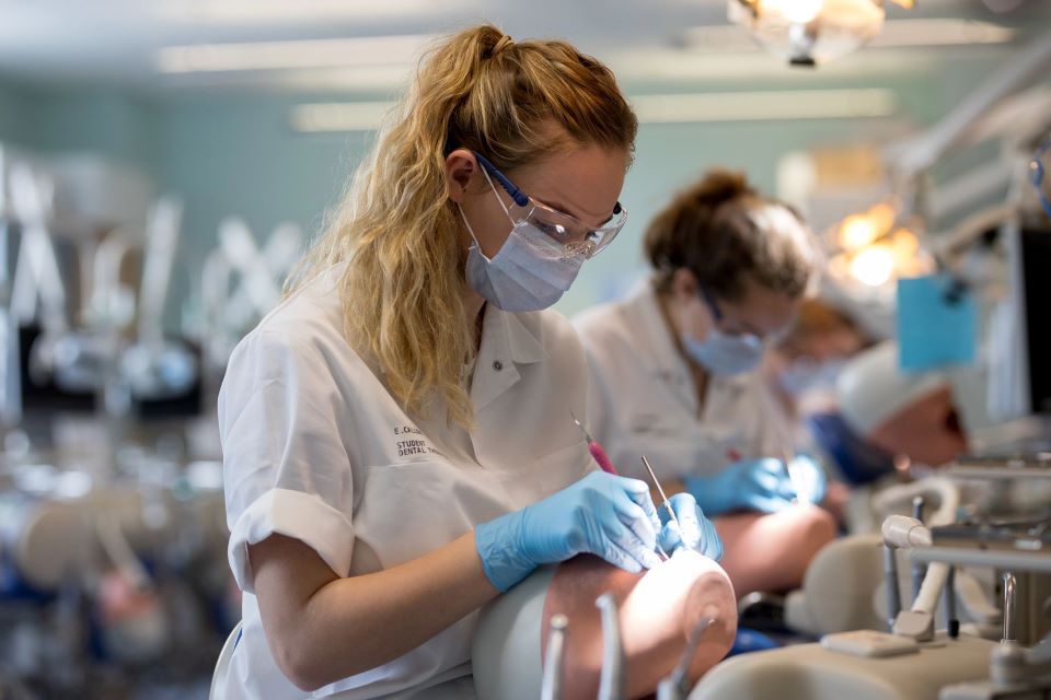 Thinking of studying dentistry or oral health sciences? 
Join our webinars to learn more about our courses and get your questions answered.

🗓️ Thursday 28 November
BDS Dentistry webinar
🕒 15:00 
BSc Oral Health Sciences webinar
🕒 16:00

Register here - buff.ly/3YEiwRV