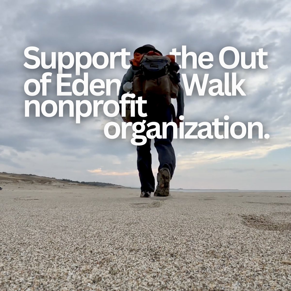 Out of Eden Walk tweet media