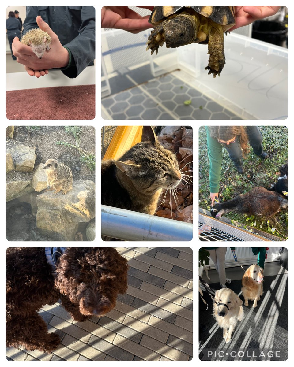 Jackie Moores- Tameside College & Clarendon Sixth tweet media