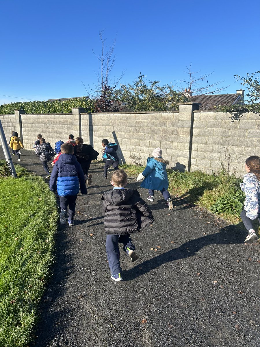 Aoife Hardiman tweet media