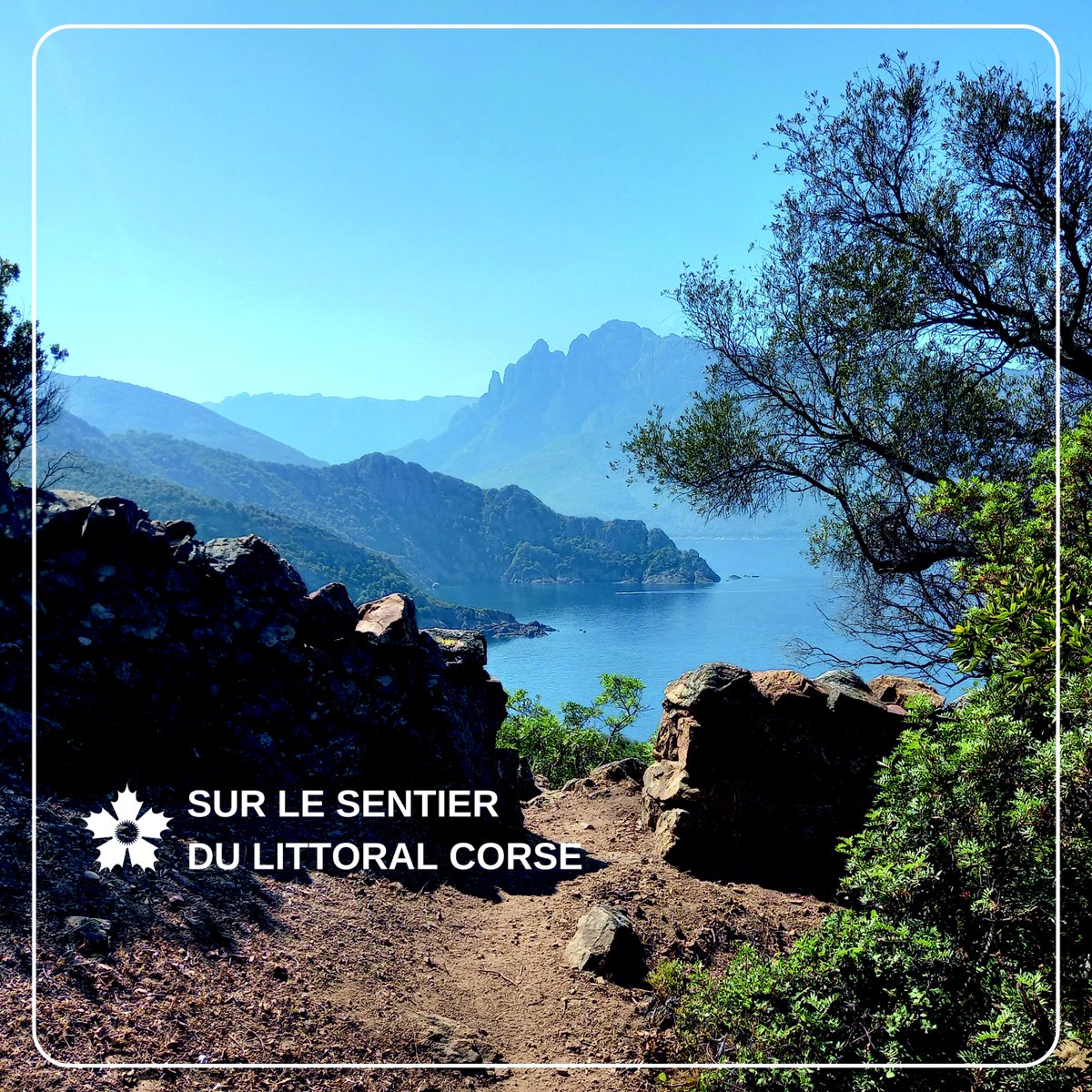 Conservatoire du littoral (@littoral_cdl) on Twitter photo 📣Inauguration du sentier entre les plages de Caspiu, Gradelle et Miserinu. Réalisés en partenariat avec <a href="/IsulaCorsica/">Cullettività di Corsica - Collectivité de Corse</a> et <a href="/littoral_cdl/">Conservatoire du littoral</a>, ces travaux de restauration valorisent un #patrimoine témoin de l’intense activité agropastorale passée, à découvrir sur le #sentierdulittoral. 📣Inauguration du sentier entre les plages de Caspiu, Gradelle et Miserinu. Réalisés en partenariat avec <a href="/IsulaCorsica/">Cullettività di Corsica - Collectivité de Corse</a> et <a href="/littoral_cdl/">Conservatoire du littoral</a>, ces travaux de restauration valorisent un #patrimoine témoin de l’intense activité agropastorale passée, à découvrir sur le #sentierdulittoral.