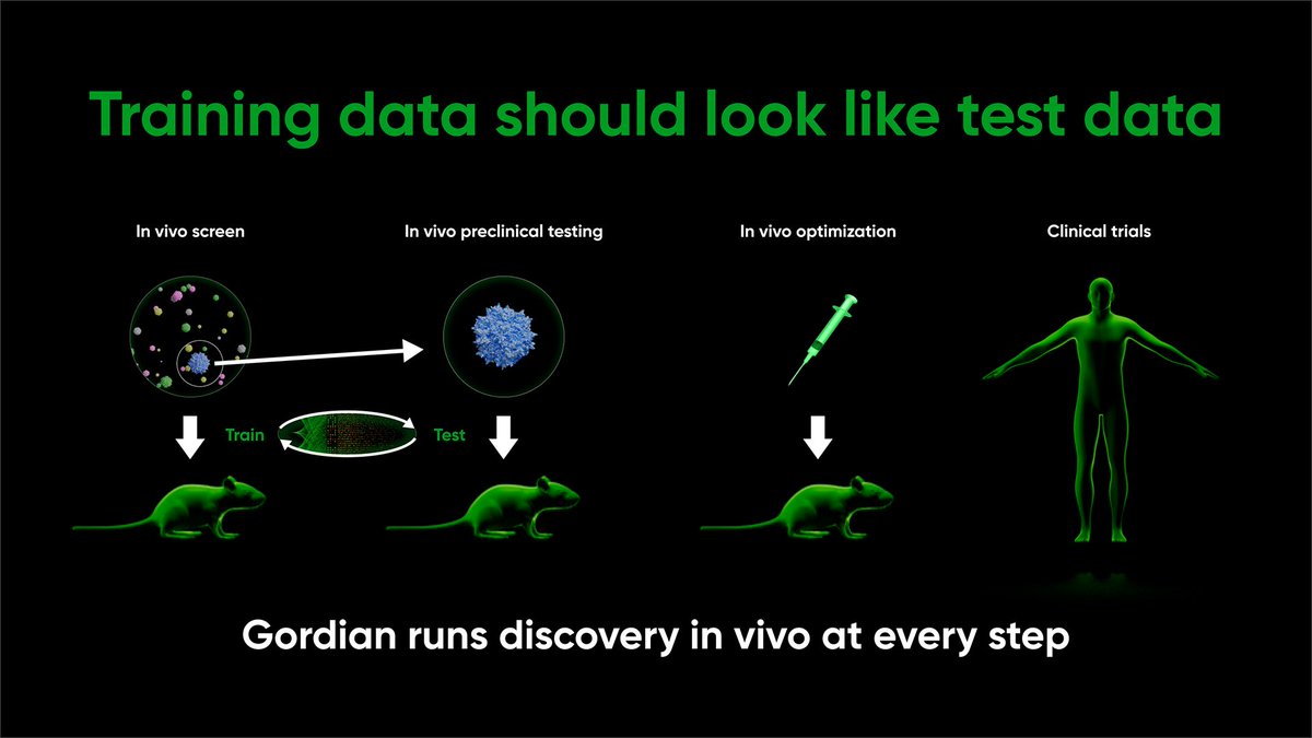 GordianBio's tweet image. The success of AI applied to drug discovery is being decided by a number of clinical trials. So far, the results are lackluster. Why? For AI to have a transformational effect in drug discovery, training data must come from living mammals. (🧵1/9)