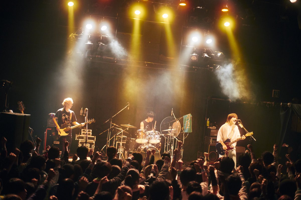 This is LAST tweet media