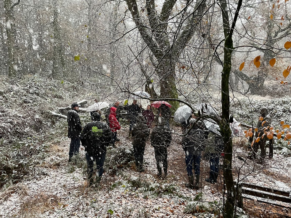 ❄️ Na regen kwam sneeuw bij het werkbezoek van een groep Statenleden en fractievolgers aan de Veluwe vanmorgen. Dat leverde een mooi plaatje op. Natuurmonumenten, waterschap en provincie spraken over natuurherstel en de aanpak Veluwe. #PSGld
