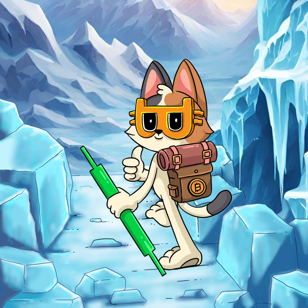 billydollarcat's tweet photo. see u at the top https://t.co/PAlAtguvKR