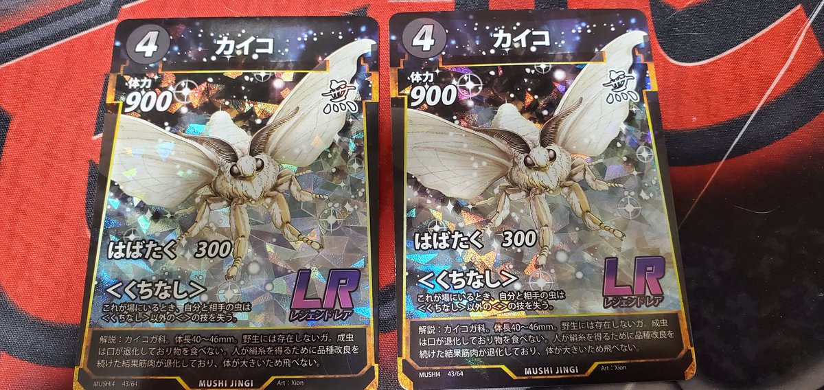 か、か、カイコ！！！！🤩🤩🤩🤩
2枚も！！🤩🤩🔥🔥✨✨