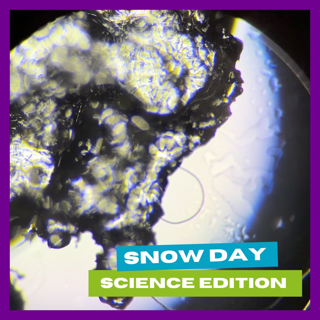 StBrendansSFC's tweet photo. Discovering the wonders of winter❄️👩‍🔬

Our science students took yesterday’s snow flurry to the next level by examining snowflakes up close under the microscope✨🔬
The patterns and details are a true winter wonder🌨️🤍

#stbrendanssfc #sixthform #college #scienceexperiment #STEM https://t.co/V21wV1pCl4