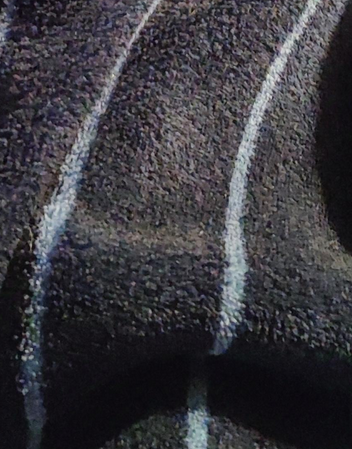 🎧 PAN @PostApocalipsisNau@todon.nl tweet media