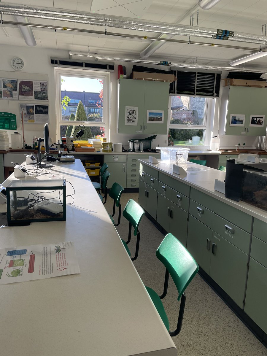 BiologyBSU tweet media
