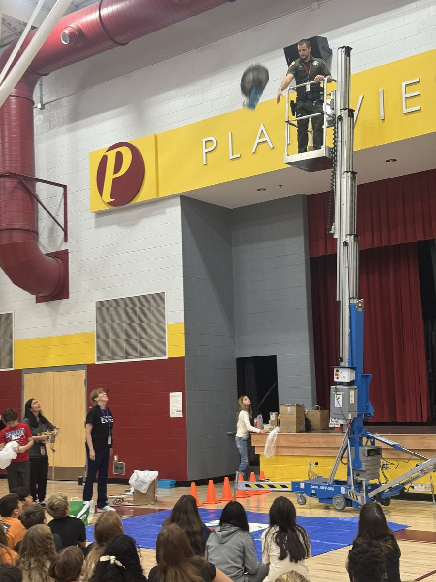 Sheri DeJaynes tweet media