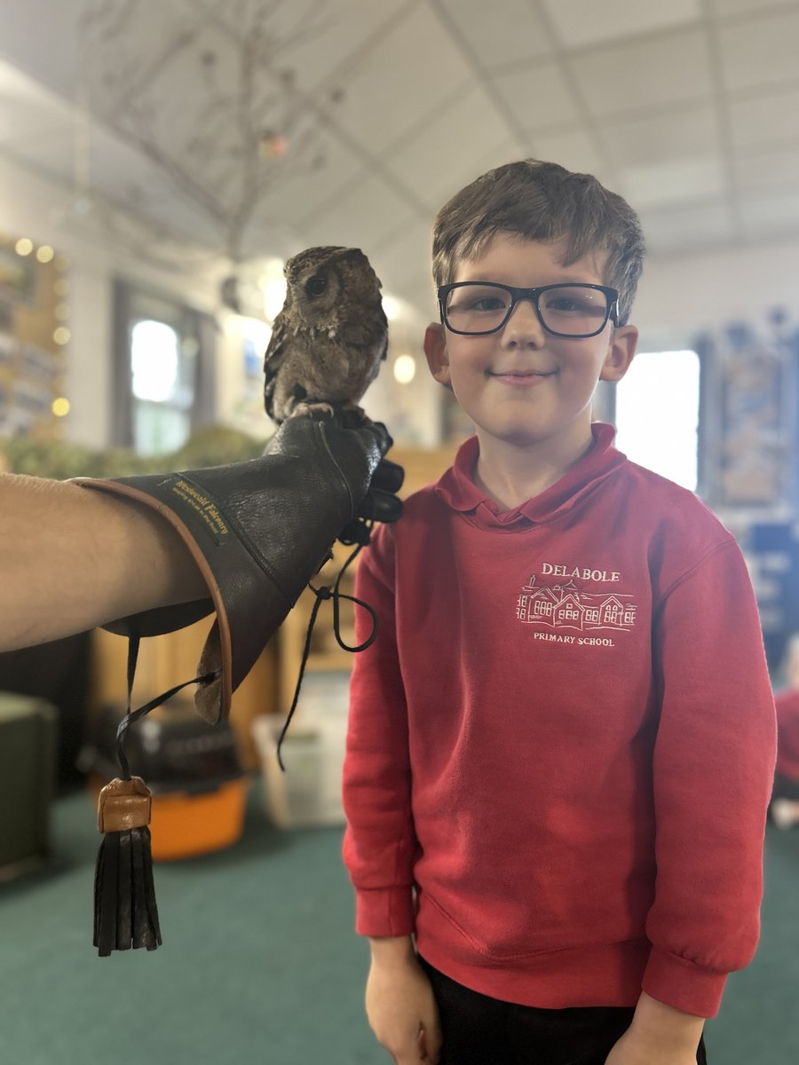 delabole_school's tweet photo. We were very lucky to have some special visitors to Class 1.Jack from the Screech Owl Sanctuary brought along three beautiful owls &amp; Stinky Pete the Polecat. The class loved the opportunity to get up close to each of the owls &amp; gain more information about their incredible species https://t.co/WTCVBMvUsR