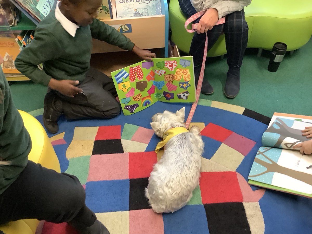 Wisborough Green Primary School tweet media