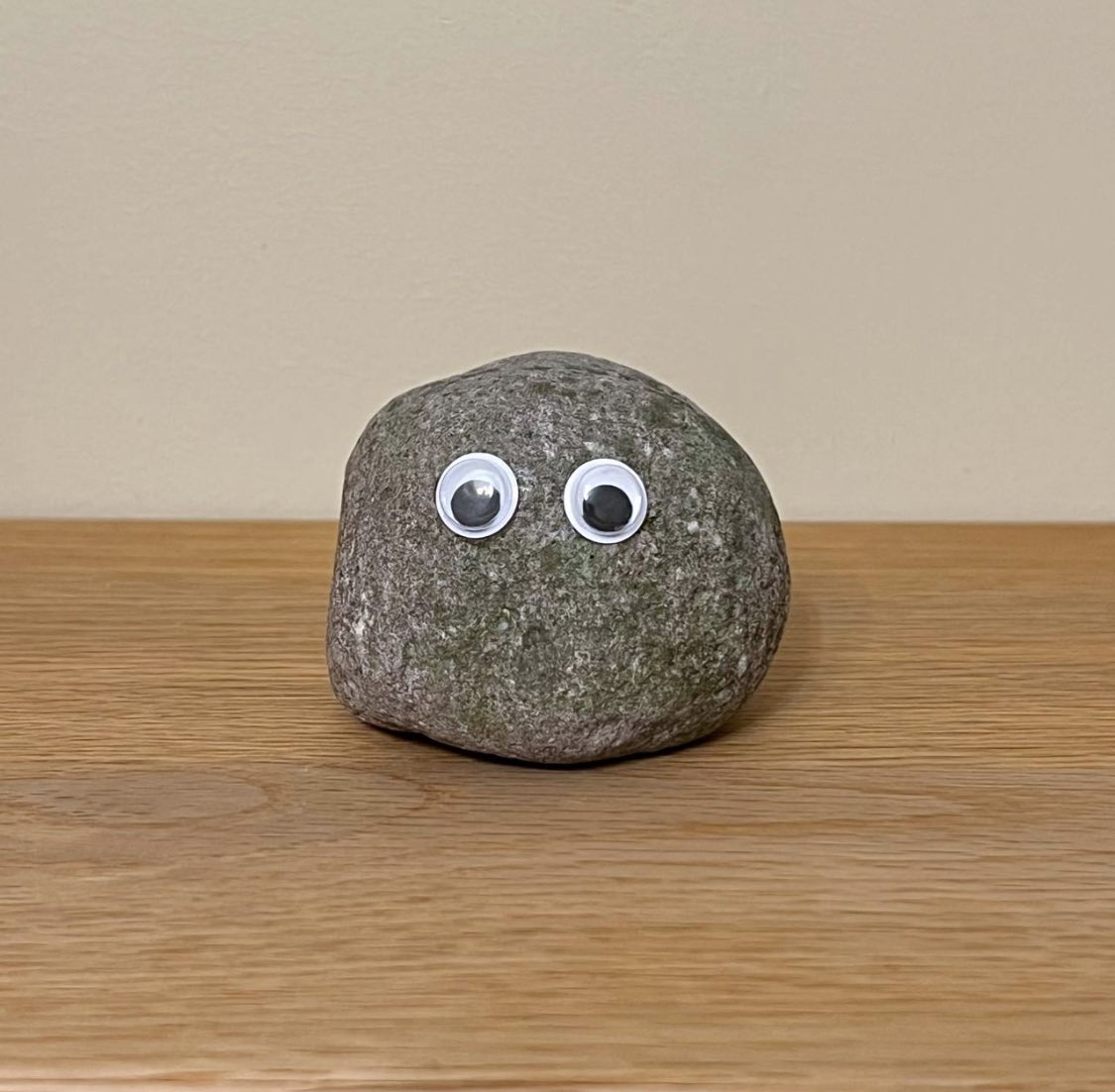 <a href="/KAPOTHEGOAT01/">STILL K.A.P.O</a> <a href="/nalacatcto/">NalaCat-CTO</a> Should take a look at $rocky thousands of cats dogs and frogs but only 1 pet rock 🪨