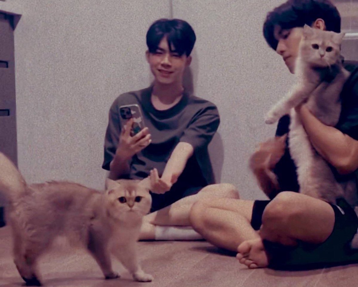 Mai 新的 tweet media