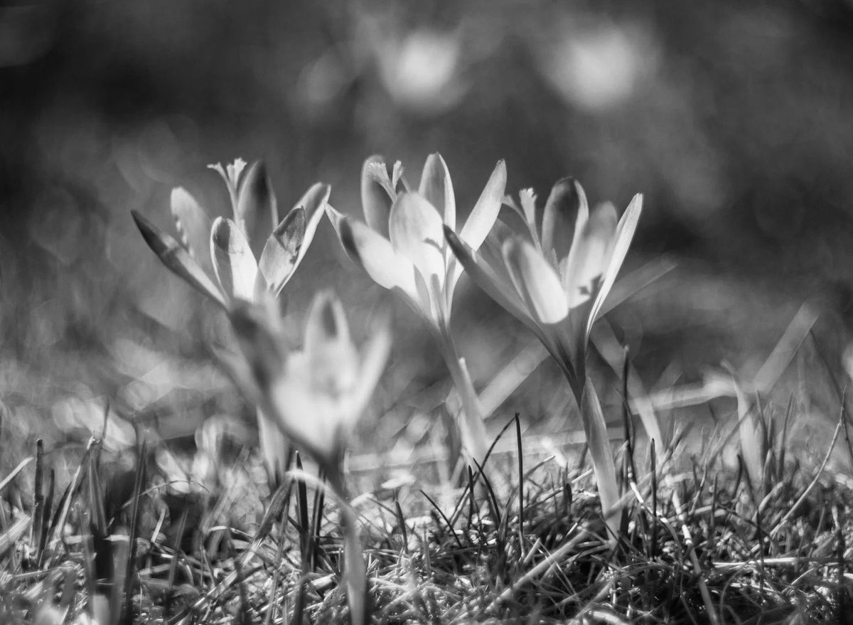 defi-finance( Data Certify AI) tweet media