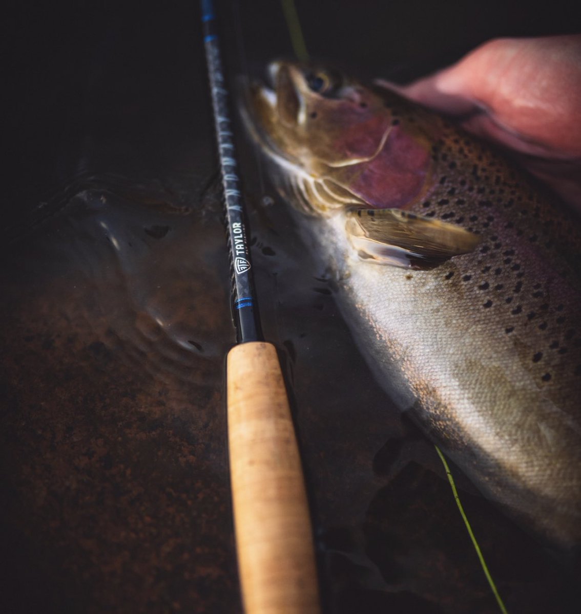 Big fish season! #flyfishing