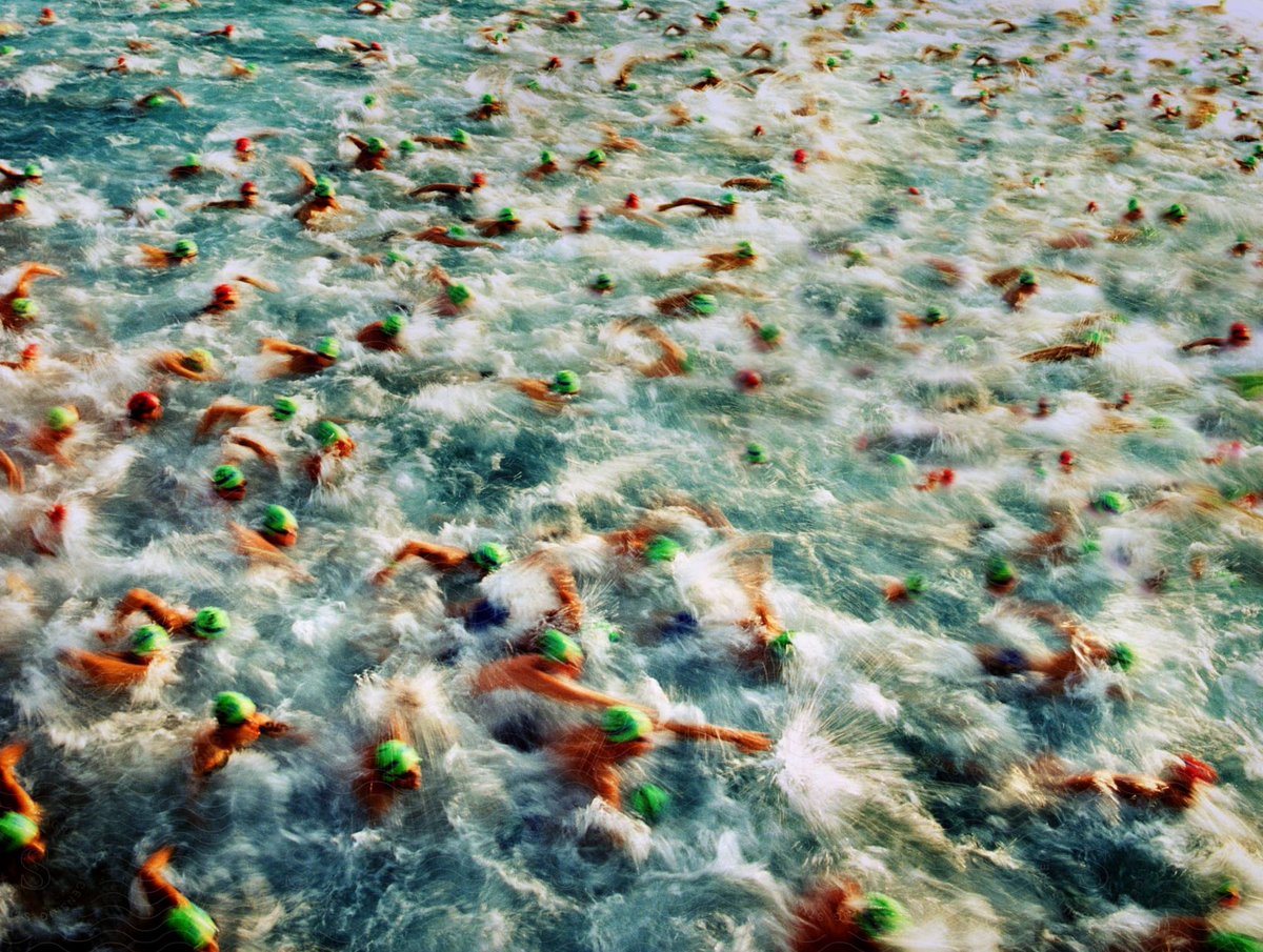 Swimmers