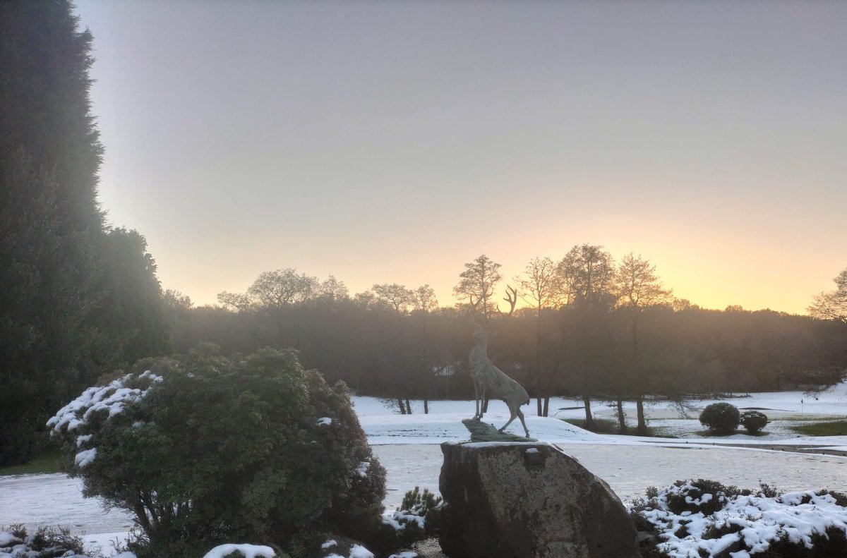 Mandy Ambert tweet media