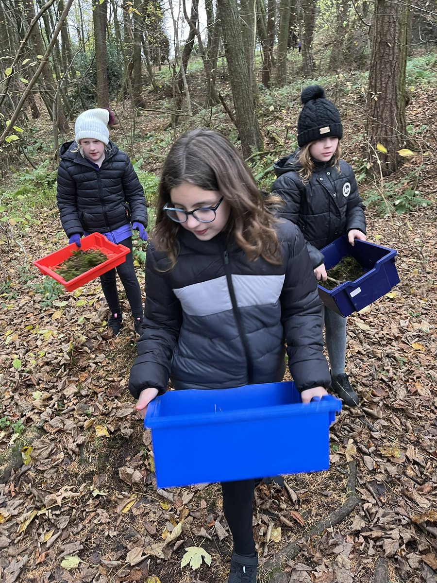 FintryPrimaryG63 tweet media