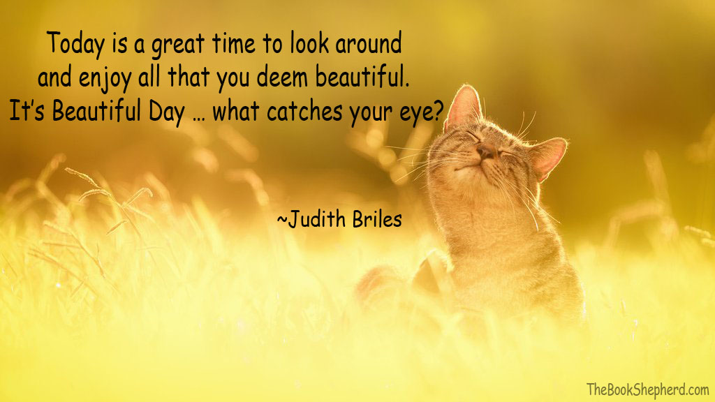 JudithBriles's tweet image. What if your story could capture that beauty and inspire others? Let’s turn your ideas into a book that resonates and uplifts. Ready to share your beauty with the world?

JudithBrilesBooks.com
#BeautifulDay #BookInspiration #Storytelling #CreativeWriting #JudithBriles