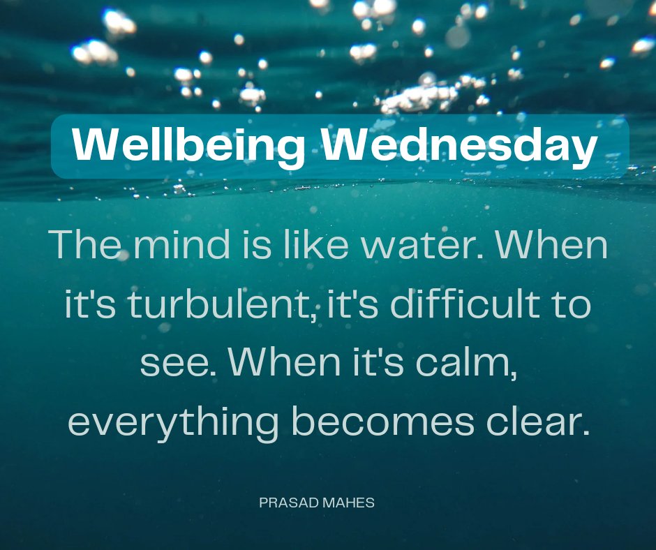 DanicaDreamer's tweet photo. Happy Wednesday! #WellnessWednesday #declutteryourmind #getclarity #seemoreclearly #peaceandperspective #findyourcalm #calmnessispower #reenergizeyoursoul #reigniteyourlight https://t.co/EH9TLOTagm