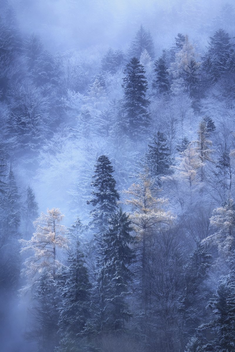 The last Glimpse of Autumn
Bavarian Alps, Germany
#landscapephotography #winter #schnee