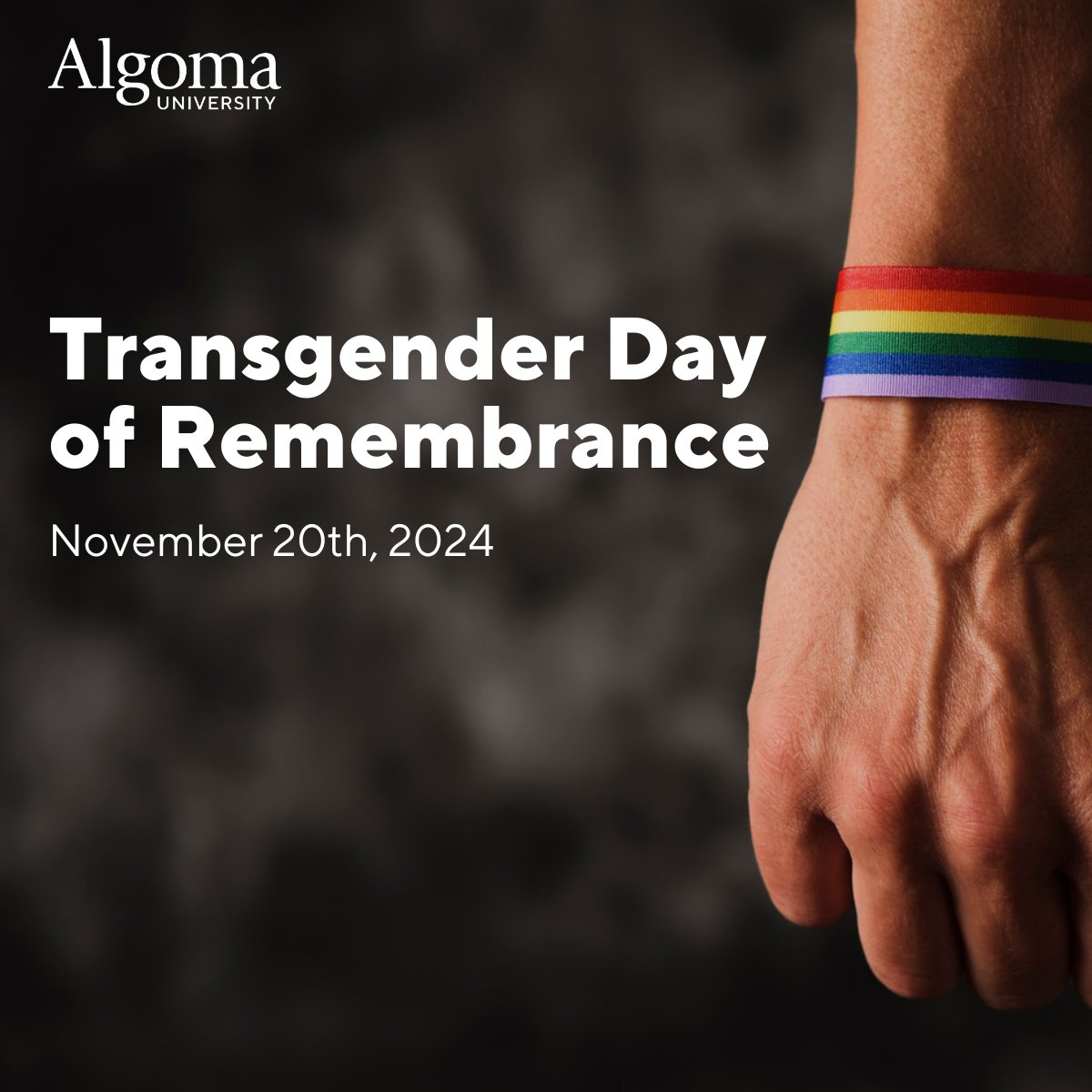 Each year, on Nov 20th, the world recognizes Transgender Day of Remembrance—a day to honour the transgender, non-binary, and gender non-conforming individuals who have been targeted and lost their lives for living with authenticity and courage. Let us come together in