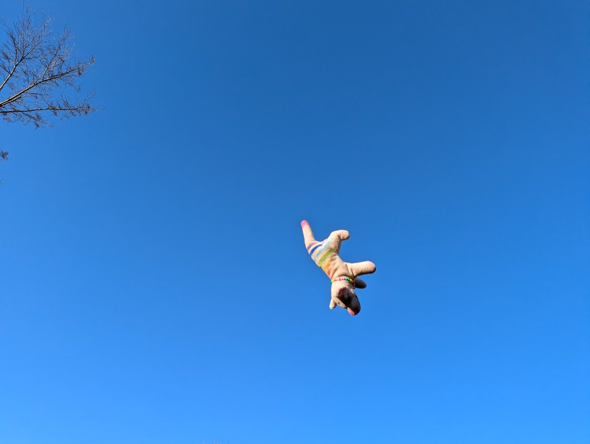 Hey look, I'm up in the sky! It's so blue! Wheee!

You should go find me there too, I'm still Thylacereal. I'll likely continue to announce plushie restocks here too, but little else!