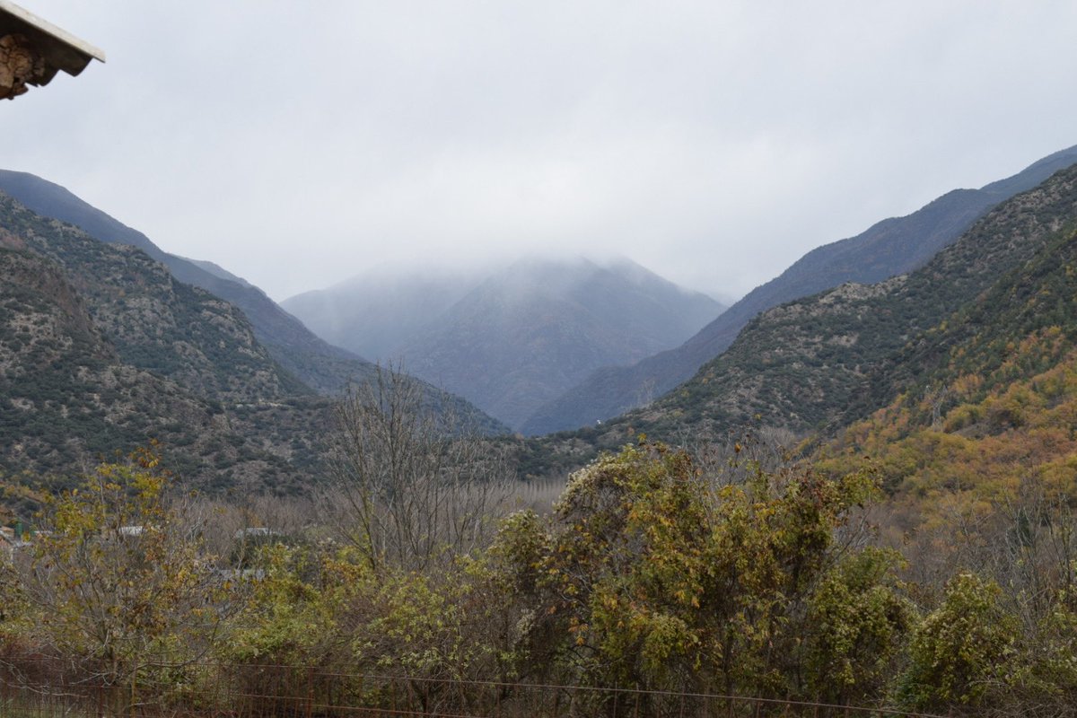 Òscar Ordeig tweet media