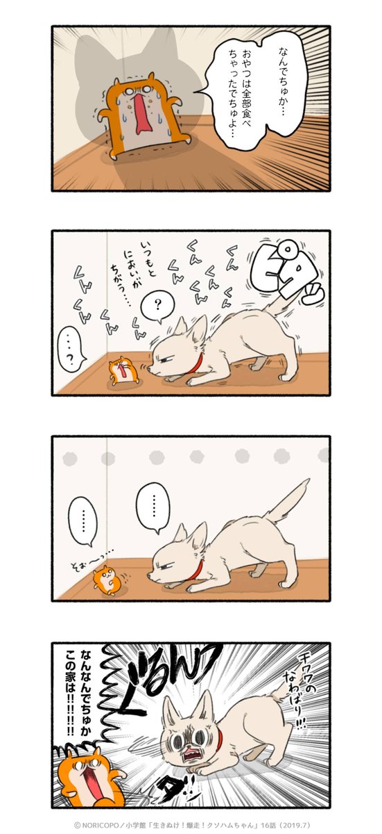 第16話「入れ替わる二匹のハム」(1/3)

『生きぬけ!爆走!クソハムちゃん』2019年マンガワン掲載 