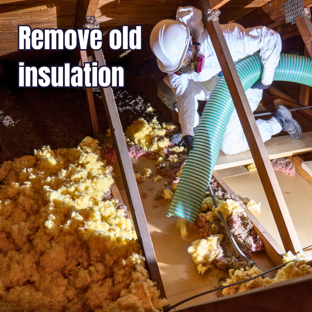permasealchi's tweet photo. Learn 3 tips to save on energy bills this season. Hint: Attic insulation is key! 🏡
Contact us today to schedule your FREE estimate!
#InsulationTips #EnergyEfficiency #AtticCare #GoPermaSeal https://t.co/cyZmt9tke4