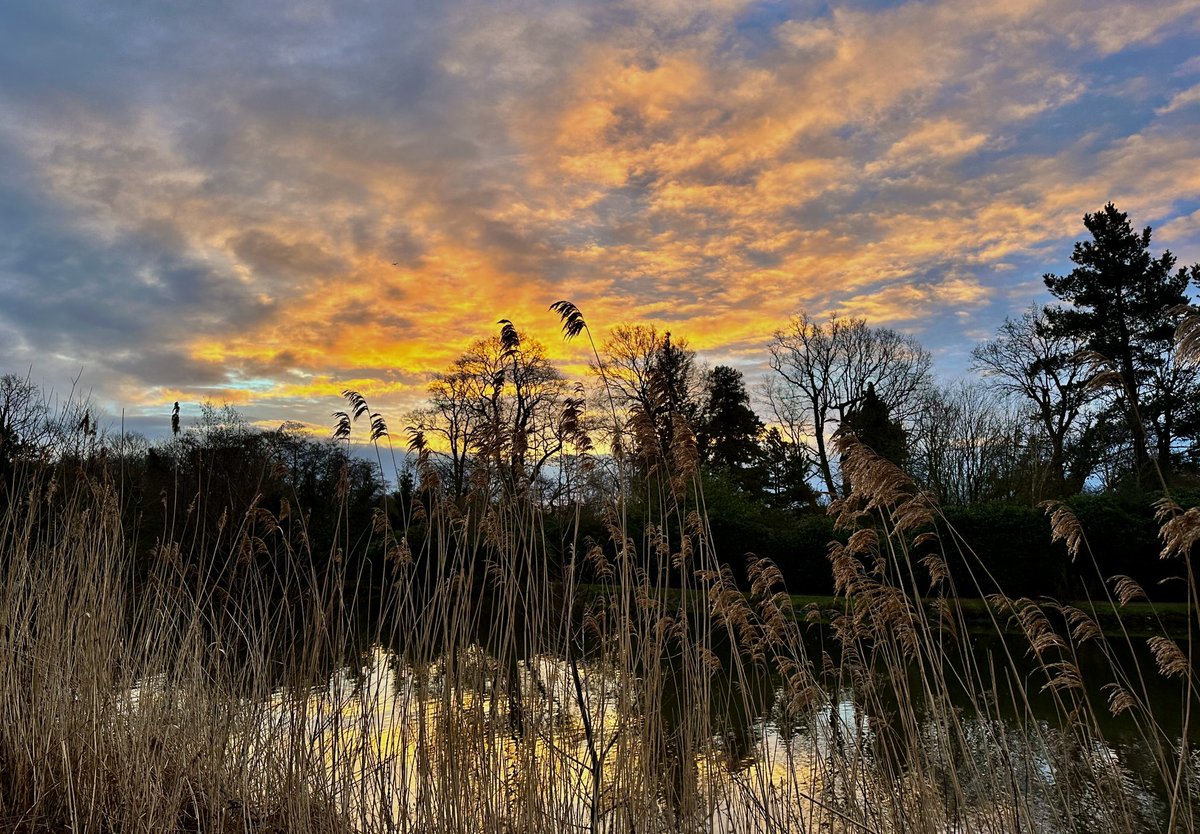 Sunrise over Dunorlan Park 🌤️ <a href="/StormHour/">#StormHour</a> <a href="/FoDPTunWells/">Friends of Dun Park</a>