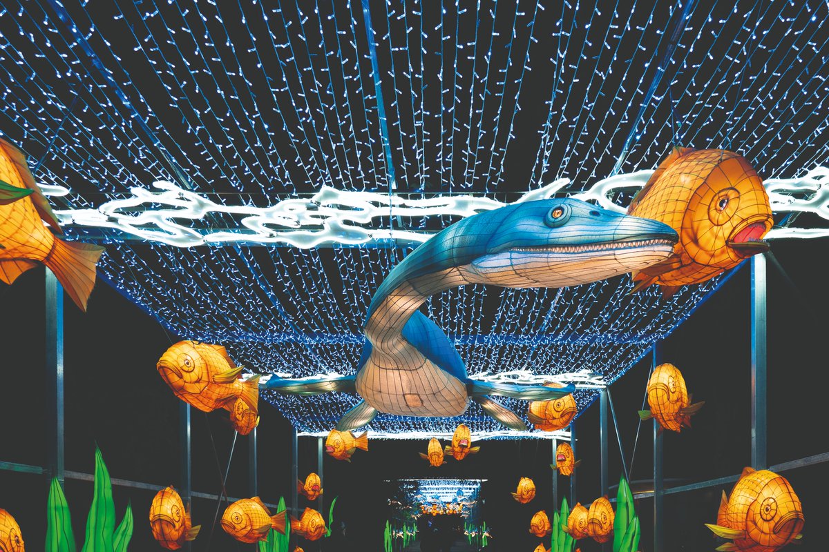 Muséum national d'Histoire naturelle tweet media