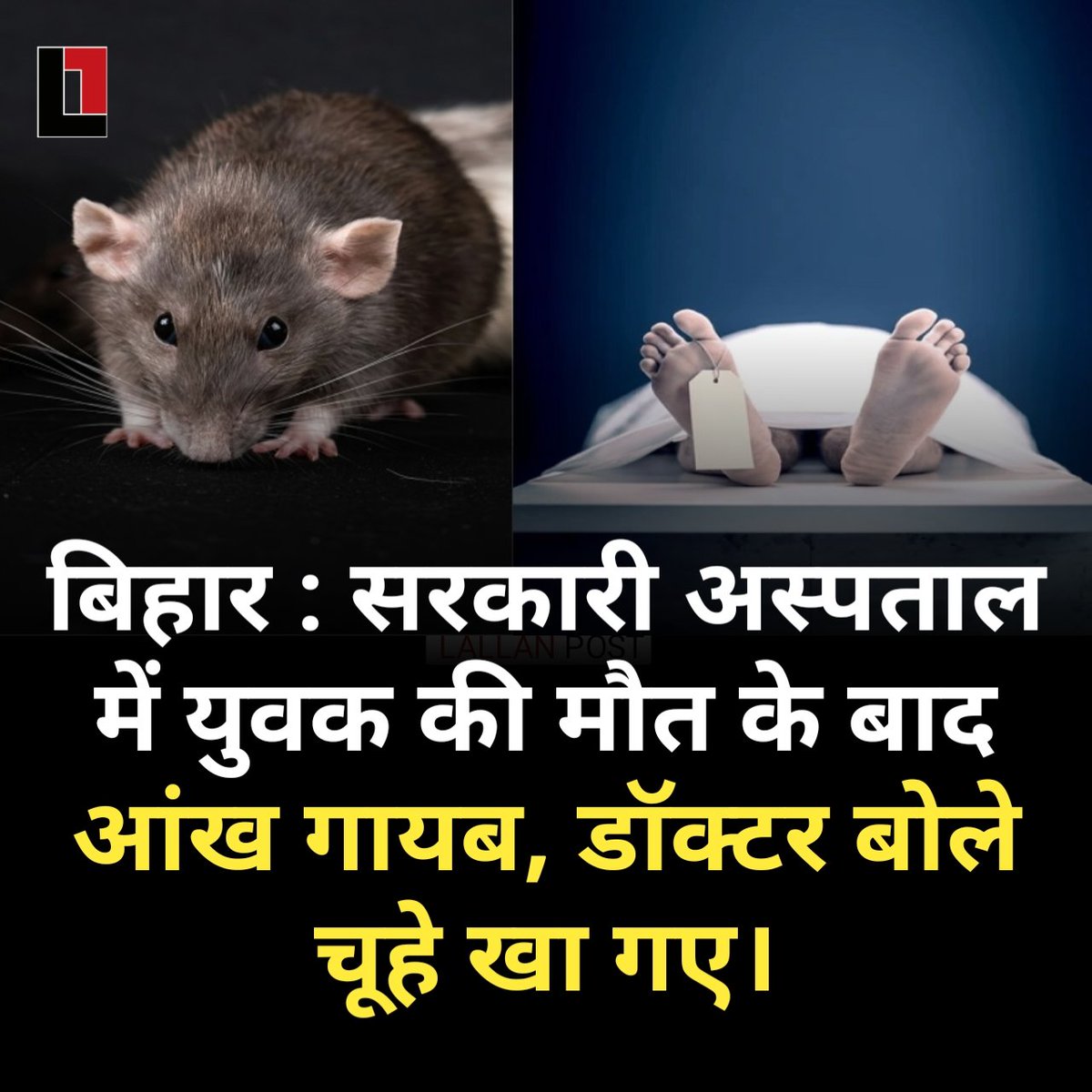 ये बिहार हैं साहब यहाँ डबल इंजन की सरकार जो हैं #Bihar <a href="/NitishKumar/">Nitish Kumar</a> <a href="/samrat4bjp/">Samrat Choudhary</a>