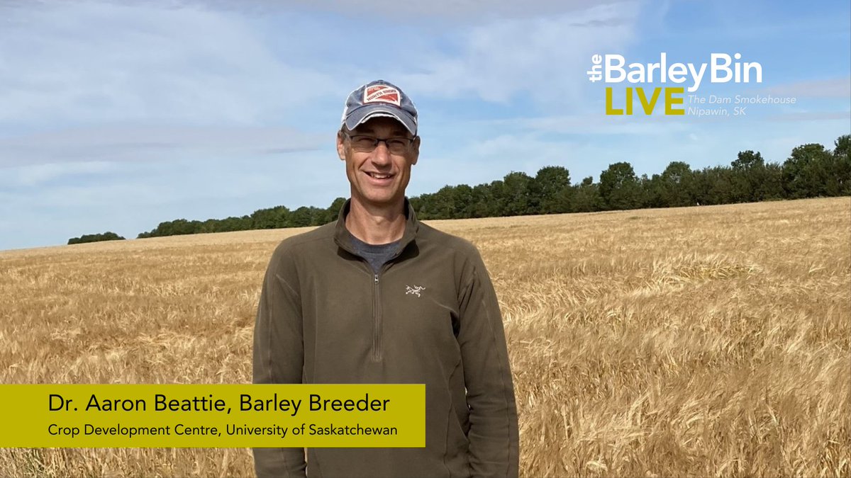 SaskBarley tweet media