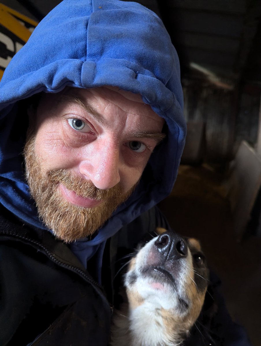 BeatenDownBrian tweet media