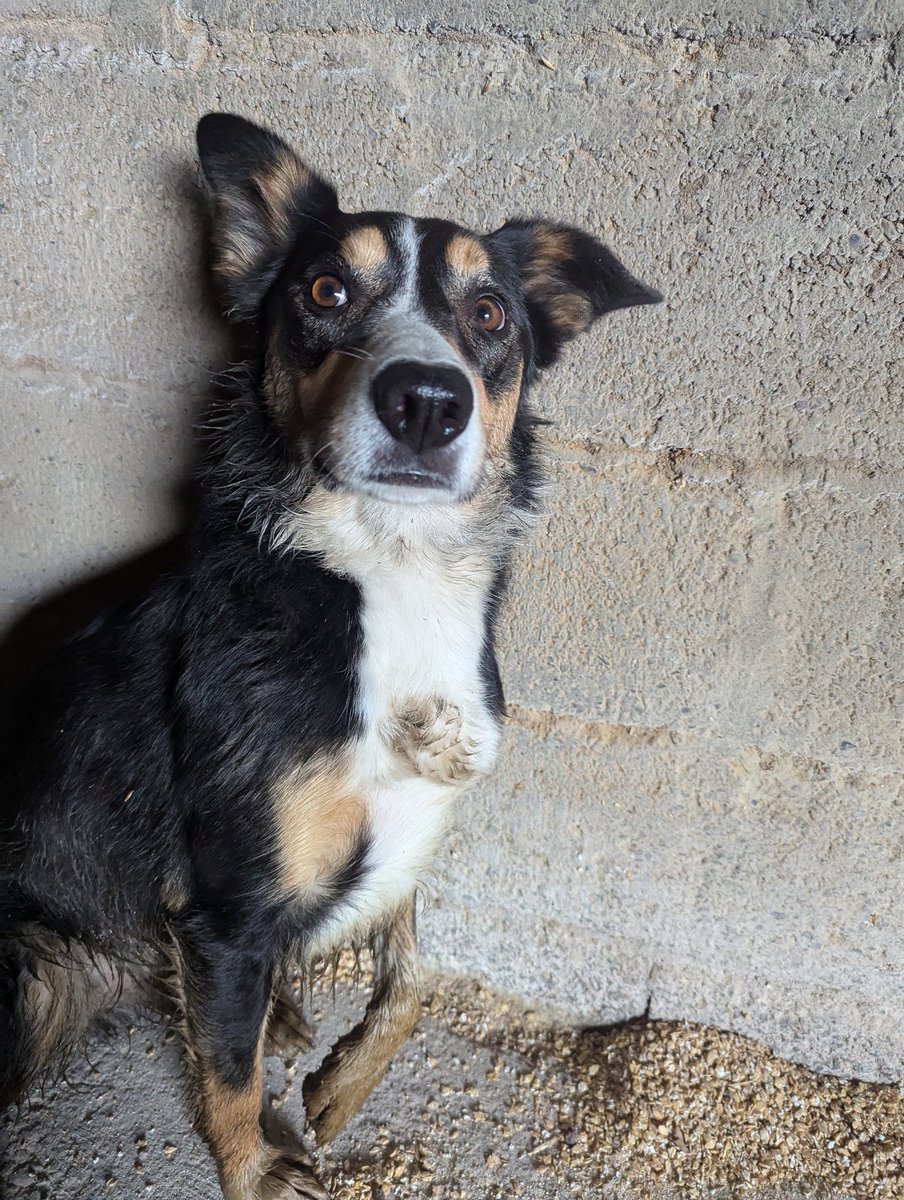 BeatenDownBrian tweet media