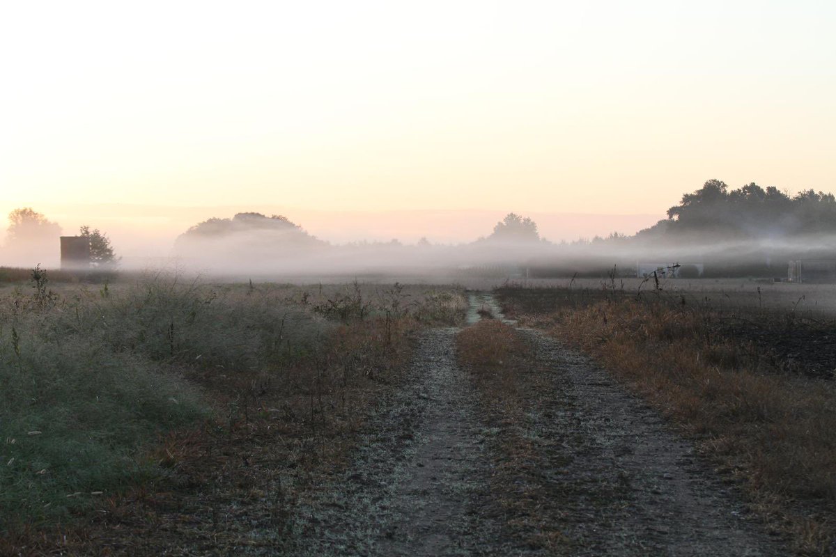 biancapourtoi's tweet image. #november_kiek_ #spoor