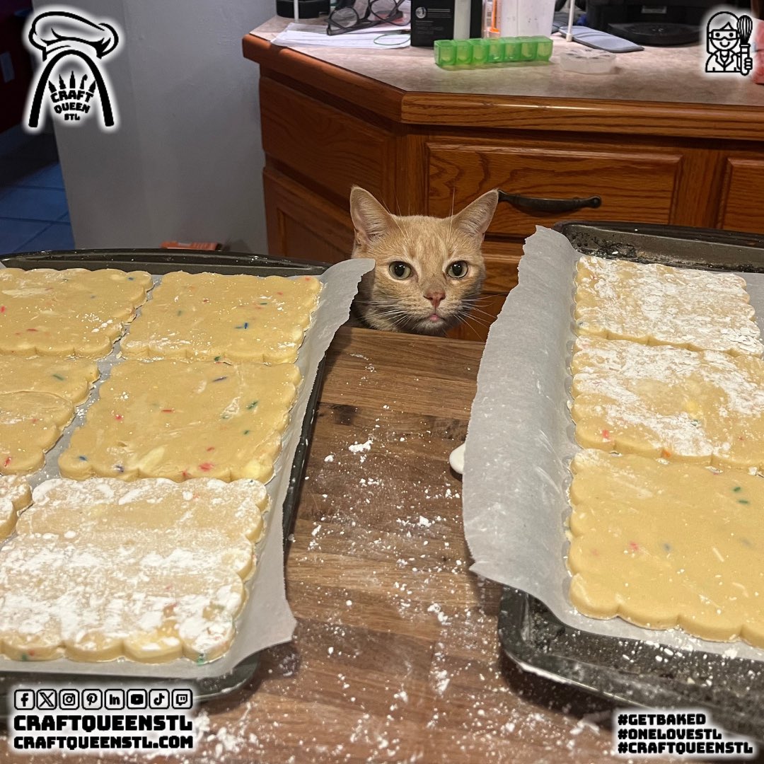 craftqueenstl's tweet photo. Time to #getbaked w/ early morning #stephnanigans 🥰💪🤷🏻‍♀️

4 batches of dough .. 2 batches of rolled buttercream & Pumpkin reminded me I forgot to move the island barstools 🤦🏻‍♀️😜🤣 He’s one of the quieter supervisors we have around here 🐈🎃

#craftqueenstl #homegrown #gardening #gardeningtips #onelovestl #creatingthroughpain #cookieartist #love #MentalBakeDown #stephaniestrong #crpswarriorfromstl
#baker